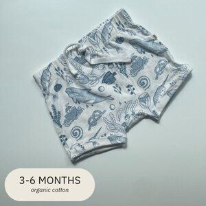 Wilson & Frenchy Organic Tie Front Shorts